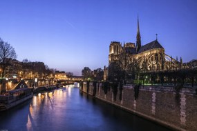 Poszter 45x30cm Notre-Dame de Paris éjszaka 2, Assaf Frank