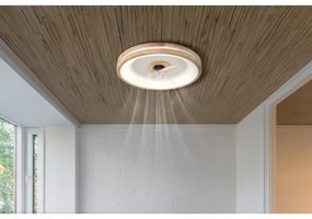 Ventilátoros Lámpa Fa GLOBO-3650