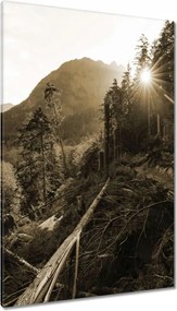 Vászonkép 80x120 Szépia tájkép Szépia