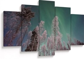 Az aurora borealis képe fagyos fák felett (150x105 cm)