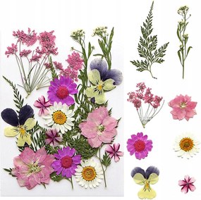 Természetes Szárított Préselt Virágok Keverék Szárított Gyanta Levelek Diy