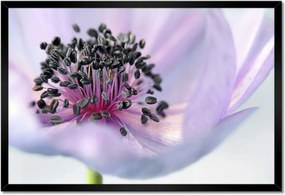 Poszterek keretben 60x40 Finom porzó