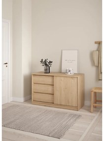 Natúr színű komód tolóajtóval tölgyfa dekorral 119x76x50 cm Naia – Tvilum