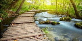 Fotó üvegkép Ösvény a folyóparton 140x70
