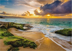 Divatos Flizelin Tapéta Ragasztóval Fali 3D Tengeri harmónia 312x219 Ragasztó