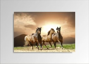 Digital Art vászonkép | 1230-S Running Horses ONE