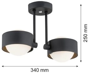 Argon 7089 - Csillár rúdon MASSIMO PLUS 2xG9/6W/230V fekete