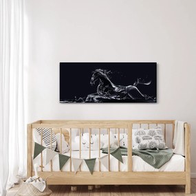 Kép - Ló és a víz (120x50 cm)