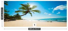 Fotótapéta trópusi tengerpart 104x70 cm