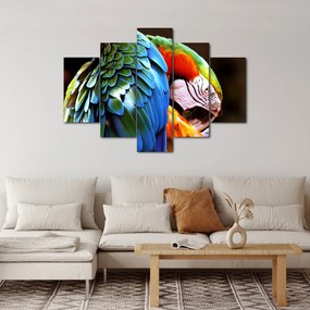 Kép - Papagáj (150x105 cm)