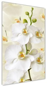 Egyedi üvegkép Fehér orchidea osv-123330197