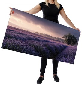 Wallplex konyhahátfal Illatos Levendula (Méret: 60x180)