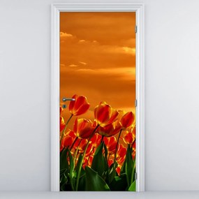 Fotótapéta ajtóra - Virágzó mező tulipánokkal (95x205cm)