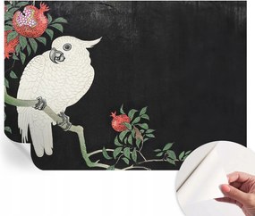 Öntapadós fotótapéta Nappali és Hálószoba Papagáj gránát 208x146