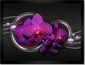 Poszterek keretben 40x30 Lila leander