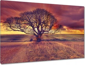 Festmények 120x80 Fa