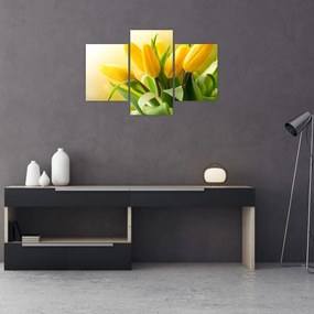 Kép - Sárga tulipán (90x60 cm)