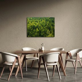 Kép - sűrű erdő (70x50 cm)