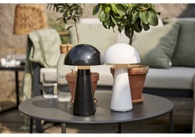 Fekete LED szabályozható asztali lámpa (magasság 28 cm) Mushroom – Star Trading