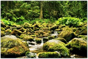 Poszterek 120x80 Tátra Lengyel hegyek Kilátás