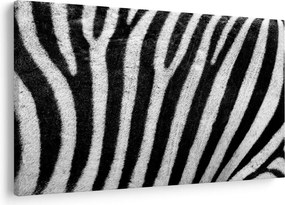 Kép egy zebra bőrről (90x60 cm)