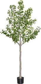 Pottery Pots Realisztikus mesterséges ginkgo biloba fa, többféle méretben - PotteryPots méret: XL - ø 50 cm | m. 270 cm