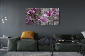Üvegképek lila magnólia 100x50 cm