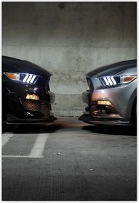 Poszterek 135x200 Face to face Mustang