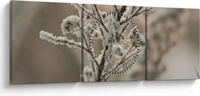 Kép - Növény fagyban (órával) (90x30 cm)