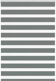 vidaXL zebrafüggönnyel sötét szürke szövetszélesség 95,9 cm poliészter