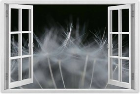 Poszterek 60x40 Pitypang Virág Virágok