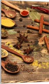 Üveg Vágódeszka 30x52 Fűszerek a Konyhába