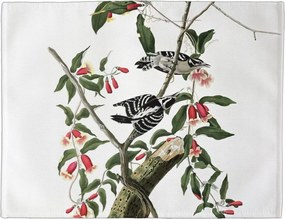 Asztali alátét Downy Woodpecker James Audubon