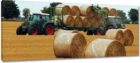 Képek 100x40 Aratás Szalma Bele Traktorok