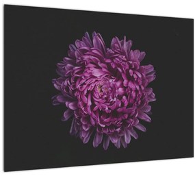Lila virág képe (üvegen) (70x50 cm)