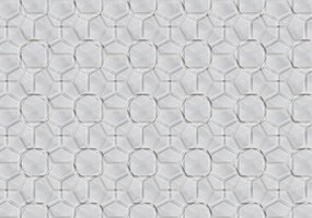 Fotótapéta Geometrikus szürke vinil minta 254x184 minimalizmus dísz +ragasztó