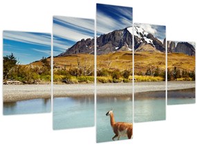 Kép - Torres del Paine Nemzeti Park (150x105 cm)