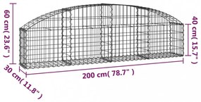 vidaXL íves horganyzott vas gabion kosár 200x30x40/60 cm