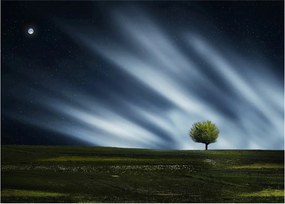 Az aurora borealis képe egy lápvidéken (üvegen) (70x50 cm)