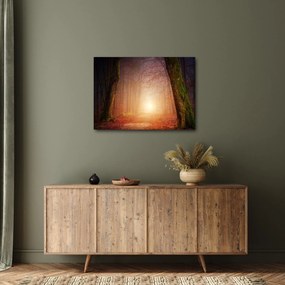 Őszi erdő képe a ködben (70x50 cm)