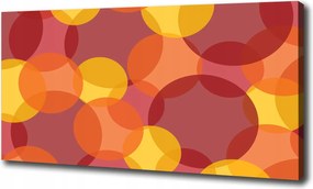 Vászonkép Színes körök 100x70 cm
