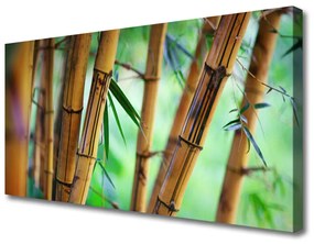 Canvas kép Nature bambusz növény 100x50 cm