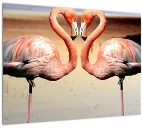 Kép - két flamingó (üvegen) (70x50 cm)