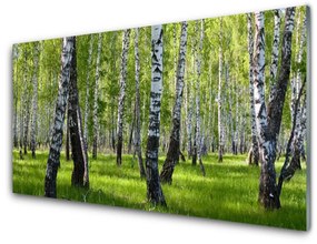 Üvegkép Erdei fák Természet 100x50 cm