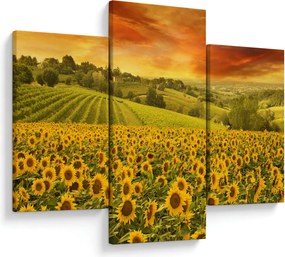 Kép - Napraforgó mező (90x60 cm)