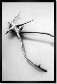 Poszterek keretben 40x60 Tenger Gyökér a tengerparton