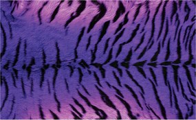 Fotótapéta Lila Tigris Absztrakt Dekoráció Művészi Minta 208x146 +ragasztó