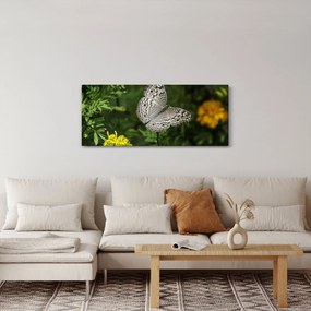 Kép - fehér pillangó (120x50 cm)