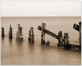 Poszterek 50x40 Hullámtörő fa