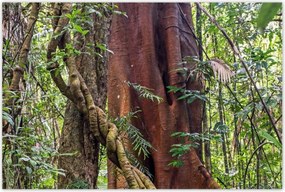 Poszterek 120x80 Tájkép Látvány